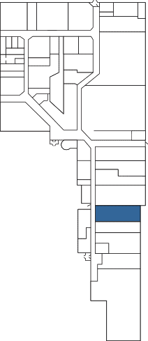 Suite 22