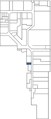 Suite 29
