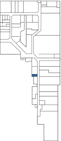 Suite 29