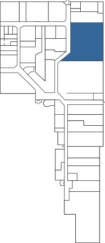 Suite 82
