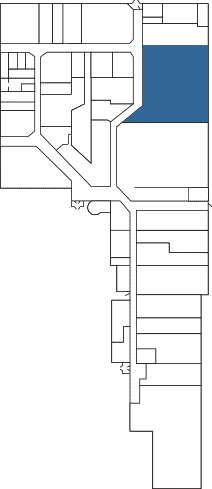 Suite 82