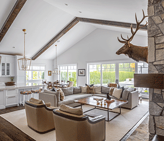 Cynthia Evans Interiors - Living Room