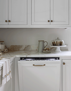 E.W. Kitchens appliance panel on a dishwasher