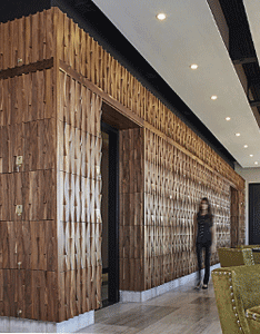 DuChateau wall coverings