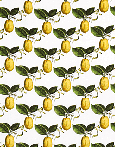 Le Citron