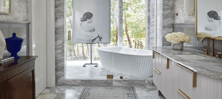 Ann Sacks - Luxury Stone 101 CEU