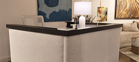 Nicolette Martin Furniture desk