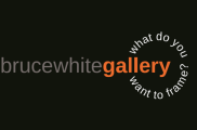 Bruce White Gallery 